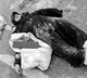 10-month-old girl child & mother, sister trio among Telangana road accident victims