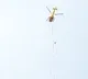 Aerial electromagnetic survey launched for SLBC tunnel in Telangana
