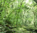 Security forces crush Naxal arms factory in Chhattisgarh's Sukma forests