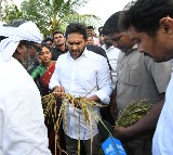 Jagan visits cyclone-hit areas, demands crop insurance for all farmers