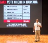 ‘Cong filed zero objections to Haryana voter rolls’: ECI sources on Rahul Gandhi’s ‘H-Bomb’ claim