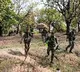 Three Maoists reportedly killed in Bijapur encounter; search operation underway