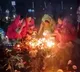Karthika Pournami Celebrations Devotees Flock to Shiva Temples