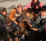 WHO warns of measles outbreak in Afghanistan, urges parents to vaccinate children