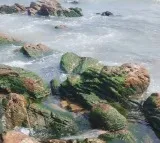RK Beach Visakhapatnam Reveals British Era Bunker After Sea Retreat