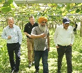 Grateful to Kiwi-Indian farmers for very productive orchard visit: Piyush Goyal