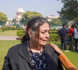 'August 11 order returns': Supreme Court advocates on stray dog removal directive