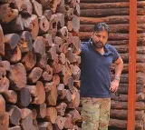 Pawan Kalyan Warns Red Sanders Smugglers