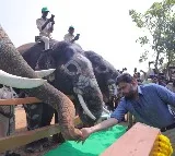 Andhra Dy CM Pawan Kalyan launches Kumki elephant training centre