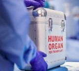 Heart Transferred from Guntur to Tirupati Saves 12 Year Old Boy