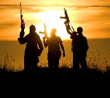 Pakistan S1 Unit What Does It Do