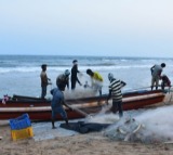 14 Indian fishermen from TN arrested by Sri Lankan Navy