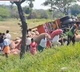 Nalgonda Onion Lorry Overturns Locals Loot Sacks