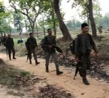 Several Maoists 'neutralised' in Bijapur-Gadhchiroli gun battle, search ops underway