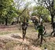 Six Maoists neutralised in Chhattisgarh's Bijapur