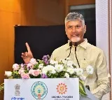 Chandrababu Naidu Reacts to NDA Victory in Bihar