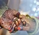 Indian Sikh pilgrim, who went missing during pilgrimage, marries Pakistani man