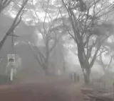 Andhra Pradesh Braces for Double Trouble Cold Weather and Rain Forecast