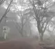 Andhra Pradesh Braces for Double Trouble Cold Weather and Rain Forecast