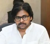 Pawan Kalyan Vows Strict Action Against Red Sanders Smuggling