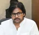 Pawan Kalyan Vows Strict Action Against Red Sanders Smuggling