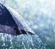 Andhra Pradesh Weather Alert Heavy Rains Forecast
