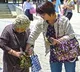 Why Indian Life Expectancy is Lower Than Japanese