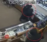 California jewelry store owner shoots at robbers