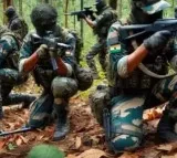 Maredumilli forests tense after encounter