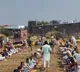 4,000 villagers attend monkey’s funeral feast in MP district