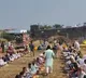 Monkey Death in Madhya Pradesh Village Leads to Feast for 4000
