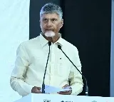 Chandrababu Naidu vows to complete river linking project despite challenges