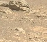 Perseverance Rover Discovers Strange Rock on Mars