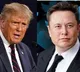 Elon Musk Attends White House Dinner After Trump Disputes