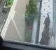 Leopard enters Rajasthan minister’s bungalow in Jaipur; search operation underway