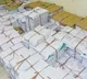 SIR Phase II: ECI records nearly complete distribution of enumeration forms; digitisation at 20.19 pc