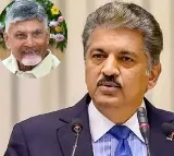 Chandrababu Naidu Unstoppable in Development Says Anand Mahindra