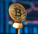Bitcoin falls to seven-month low as US economic concerns weigh on traders