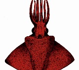 Rare deep sea 'Octopus Squid' discovered in Arabian sea by CMFRI scientists