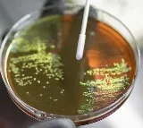 Early action on AMR key to ensure infections remain treatable, surgeries stay safe: WHO