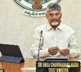 Medical colleges in PPP mode to be under government supervision: CM Naidu