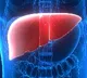 India a pioneer in living donor liver transplantation