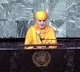 BAPS, United Nations celebrate 30 years of transformative partnership for global harmony