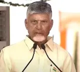 Chandrababu Naidu Orders Action on Medical Negligence in AP Govt Hospitals