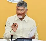 Chandrababu Naidu Orders Key Measures for Banana Cotton Maize Crops