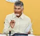 Chandrababu Naidu Orders Key Measures for Banana Cotton Maize Crops