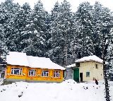 J&K: At minus 2.8 degrees Celsius, Srinagar witnesses coldest night of season