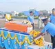 Mortal remains of IAF pilot cremated with full honours in Himachal