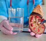Kidneys How Much Water to Drink Daily for Healthy Kidneys