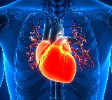 Current heart attack screening tools missing 45 pc people at risk: Study